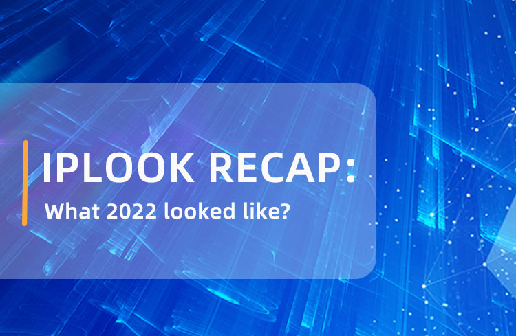RESUMEN DE IPLOOK: ¿Cómo fue el 2022?