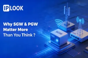 Why SGW & PGW Matter More Than You Think?