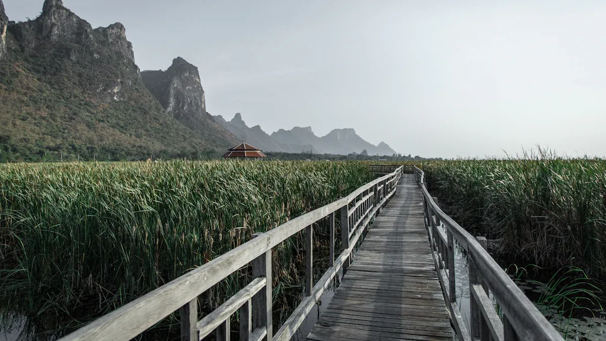 FWA ROI Timeline Benchmarks