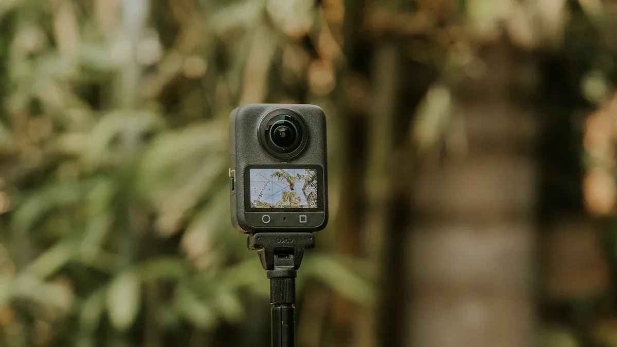 Assess Site and Environment