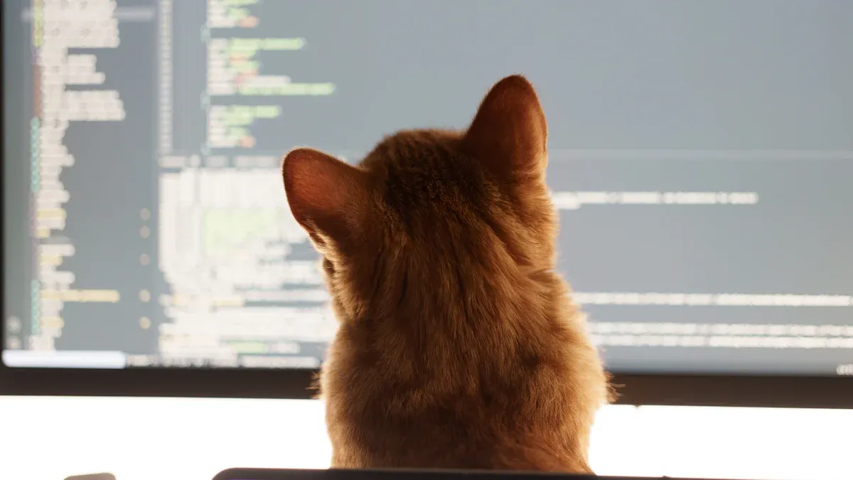 Real-World FWA Deployment Examples